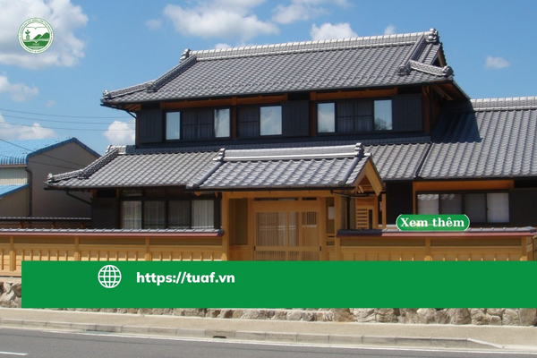hoc-online-thi-ngay-tai-nhat (1)